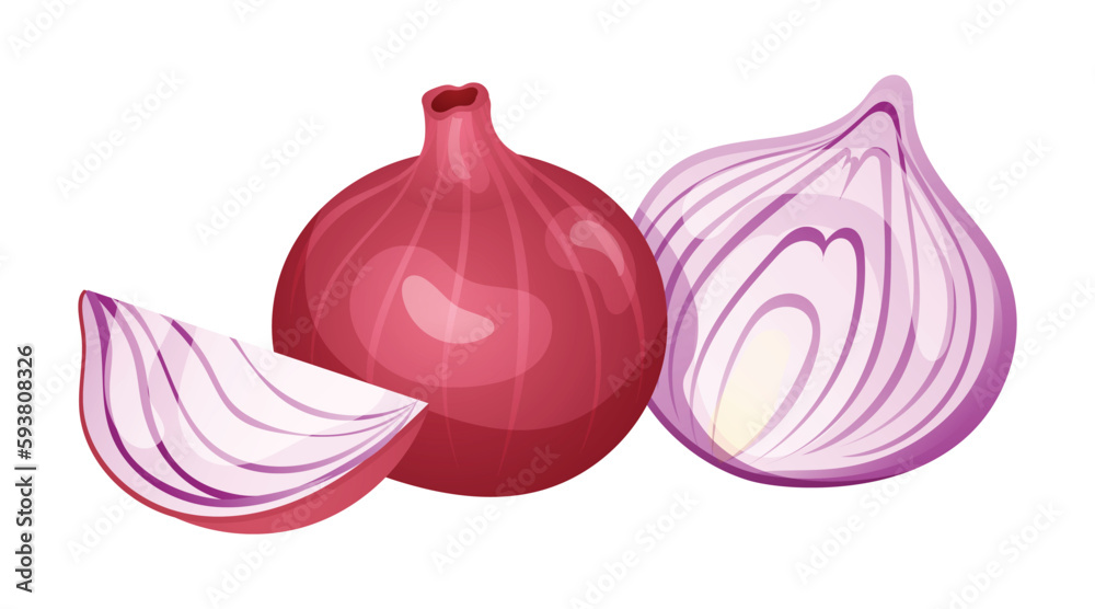 Red onion of cut and whole vector illustration isolated on white background