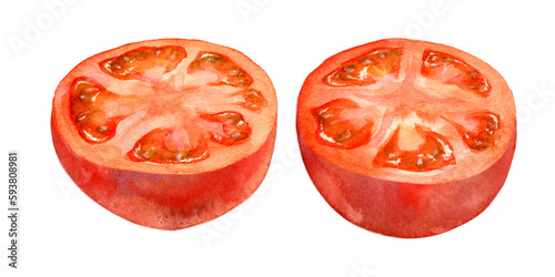 An image of a tomato divided horizontally in half, digitally generated from a watercolor painting