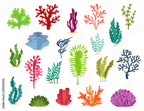 Underwater seaweed plants. Aquarium and sea algae. Vector set of vibrant weeds, grass and corals in undersea ocean floor. Marine life for environmental or aquatic products, or oceanic research themes