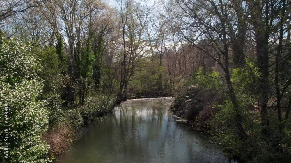drone shot over a river with trees all around, leaves and branches moving with the wind, sunny and shady weather drone shot over a river with trees all around, leaves and branches moving with the wind, sunny and shady weather