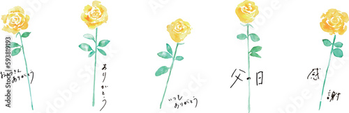 水彩画。水彩タッチの黄色い薔薇ベクターイラスト。父の日の黄色い花イラスト。Watercolor painting. Yellow rose vector illustration with watercolor touch. Father's day yellow flower illustration.