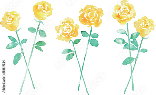 水彩画。水彩タッチの黄色い薔薇ベクターイラスト。父の日の黄色い花イラスト。Watercolor painting. Yellow rose vector illustration with watercolor touch. Father's day yellow flower illustration.