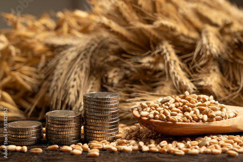 Money on the background of spikelets of wheat. Export of grain and agriculture. Rising prices for agricultural products