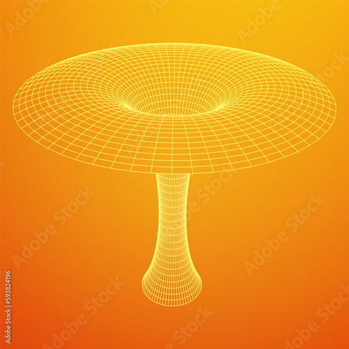 Wormhole tunnel mesh objects wireframe vector