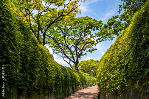 Photography Pathways at Fort Canning Park in Singapore