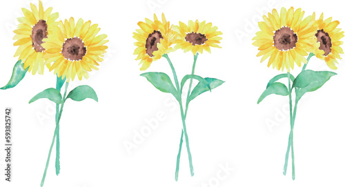 水彩画。水彩タッチの黄色いヒマワリベクターイラスト。父の日のヒマワリイラスト。Watercolor painting. Yellow sunflower vector illustration with watercolor touch. Father's day sunflower illustration.