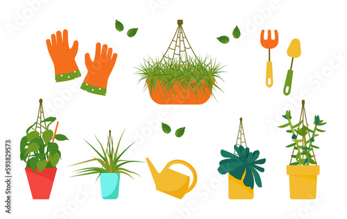 House plants and care tools. Interior Scandinavian design. Design element.