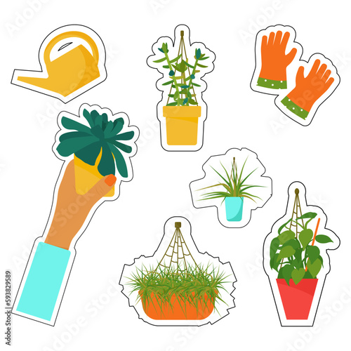 Stickers of house plants and care tools. Interior Scandinavian design. Design element.