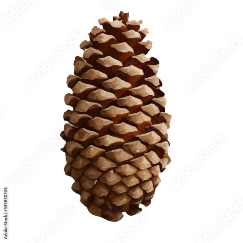 pine cone with style hand drawn digital painting illustration