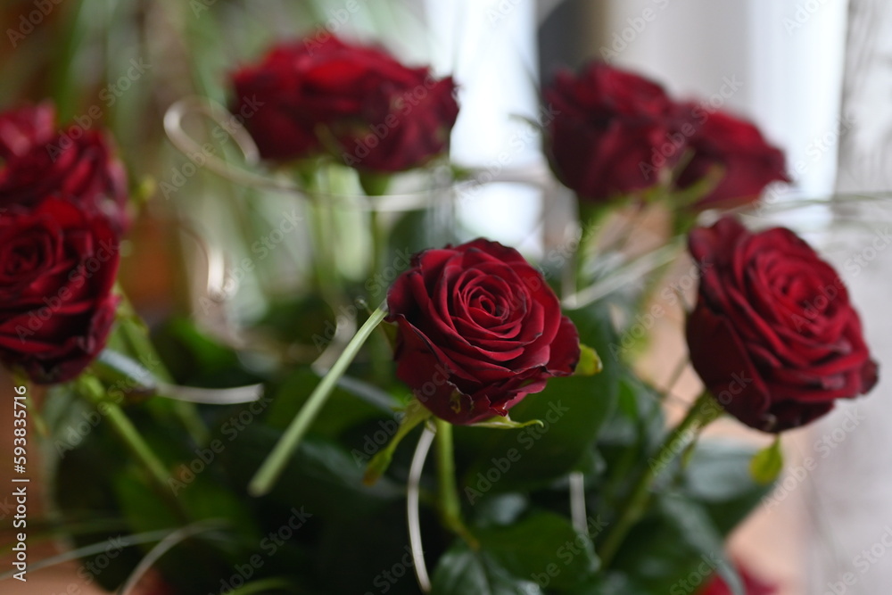 red roses in a vase red roses in a vase
