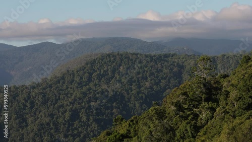 View of Lamington National Park from Rosins Lookout, Numinbah Valley, Gold Coast Hinterland photo