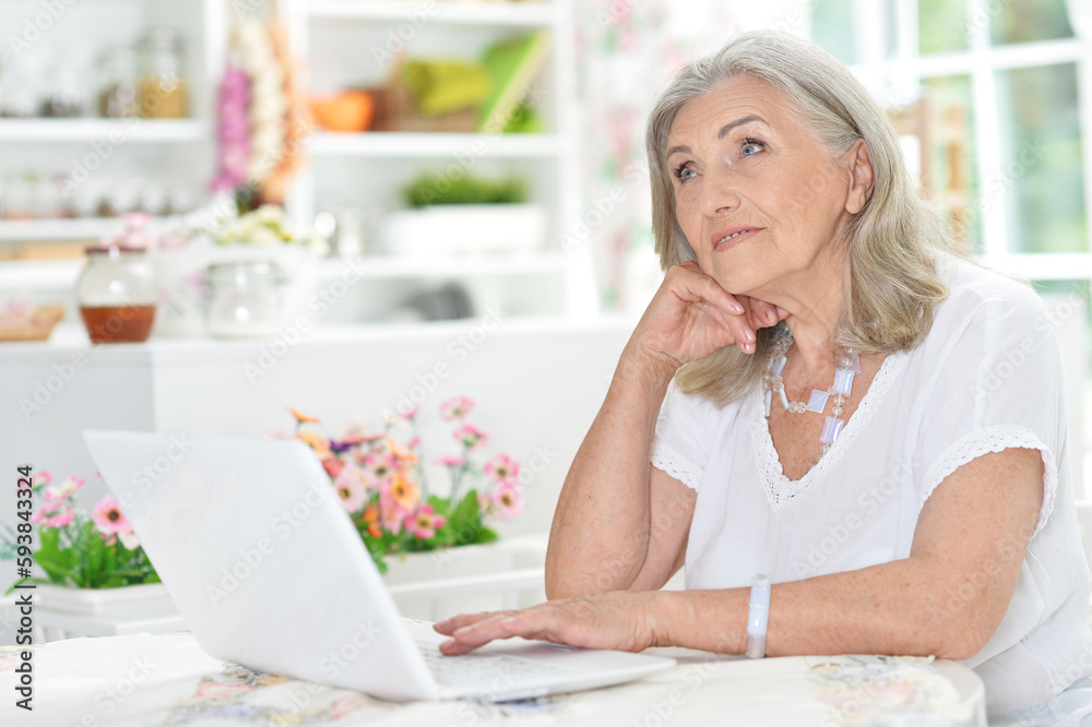 old nice woman using laptop at home old nice woman using laptop at home