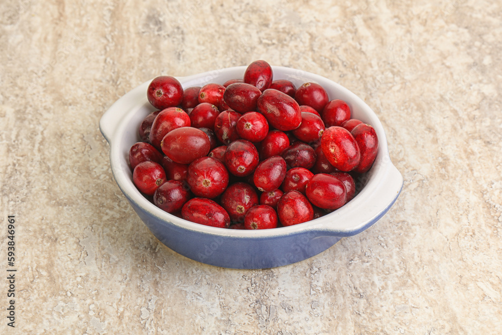 Ripe sweet tasty cranberry in the bowl Ripe sweet tasty cranberry in the bowl