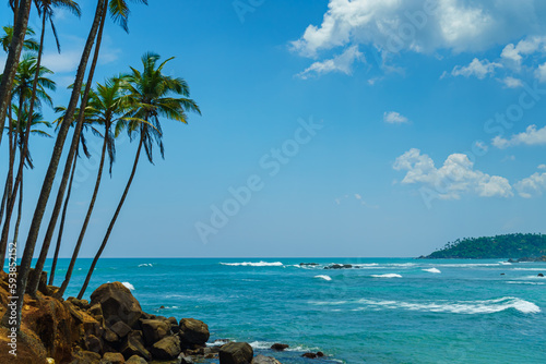 Seascape with palm trees, blue sky and sea with waves
