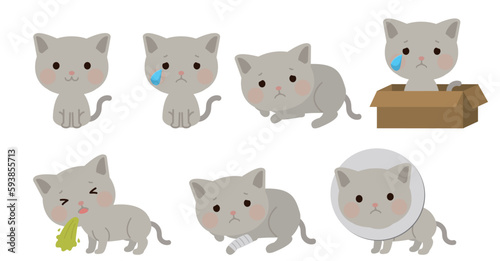 Obraz na płótnie かわいい猫のキャラクターセット　イラスト