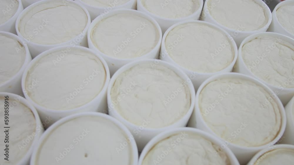 Frozen cheese in containers neatly arranged on the table in the Cheese Factory Frozen cheese in containers neatly arranged on the table in the Cheese Factory