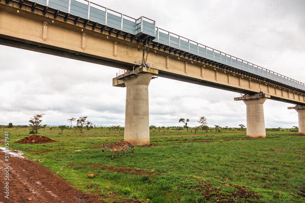 A herd of zebra grazing below the standard gauge railway line at Nairobi National Park, Kenya A herd of zebra grazing below the standard gauge railway line at Nairobi National Park, Kenya