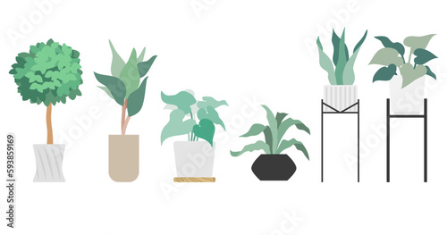 観葉植物 イラスト _ ベクター 素材 セット シンプル 植物 ボタニカル 自然 インテリア