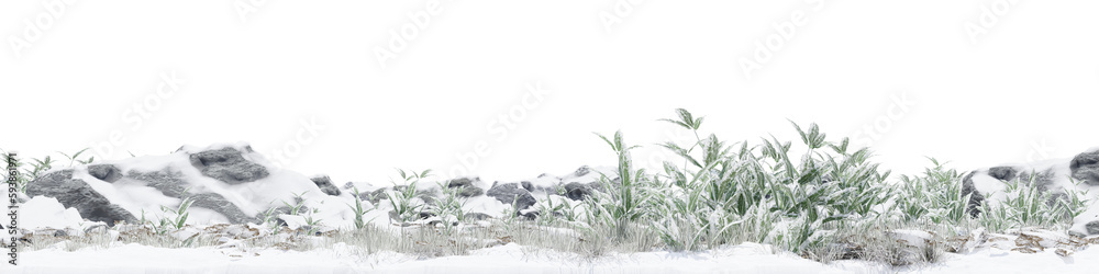 Plant and grass field with rock on snow ground in nature, Forest in winter on isolated transparent background - PNG file, 3D rendering illustration for create and design or etc Plant and grass field with rock on snow ground in nature, Forest in winter on isolated transparent background - PNG file, 3D rendering illustration for create and design or etc