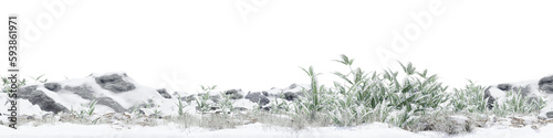 Plant and grass field with rock on snow ground in nature  Forest in winter on isolated transparent background - PNG file  3D rendering illustration for create and design or etc