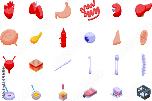 Growing Organs icons set isometric vector. Human medicine. Grow heart