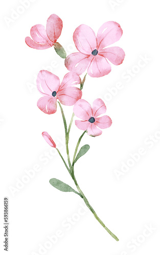 Flower for greeting card, invitation, poster, wedding decoration. Illustration isolated on white.