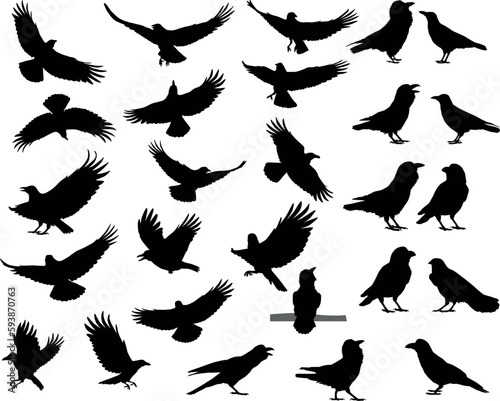 Collection of silhouettes of ravens and crows