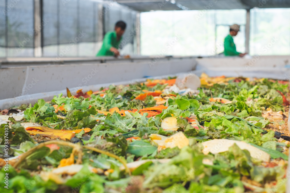 A food waste farm that reuse and reduce food waste by using black