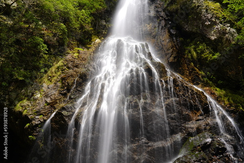 Fototapeta Naklejka Na Ścianę i Meble -  新緑に映える飛流落としの滝