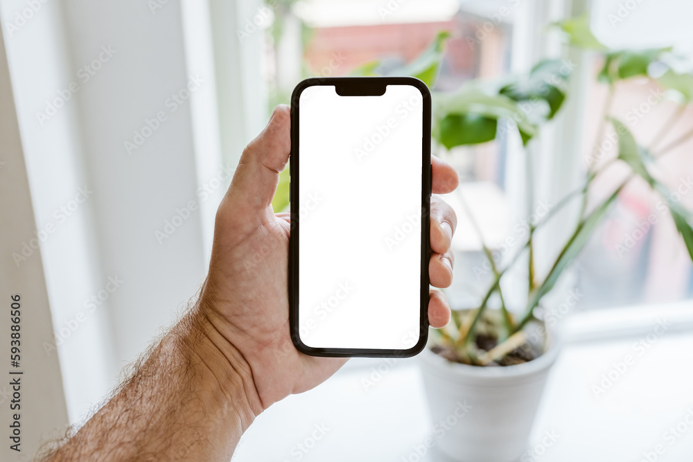 Plant identifier app mockup, man holding smartphone with blank white touchscreen in front of the potted house plant - obrazy, fototapety, plakaty 