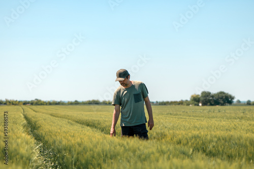 Middle-aged male farmer walking in unripe barley crop field and examining development of plants, farm worker wearing green t-shirt and trucker hat in Hordeum Vulgare plantation