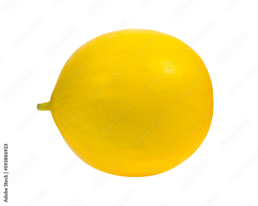 Yellow melon isolated on transparent png