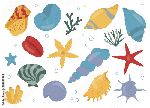 Set of sea stars, shells, corals. vector elements. flat illustration