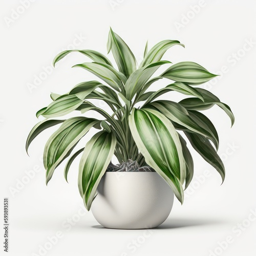 House plant centered white background. Minimalist green plant pot isolated on white background. Generative AI.