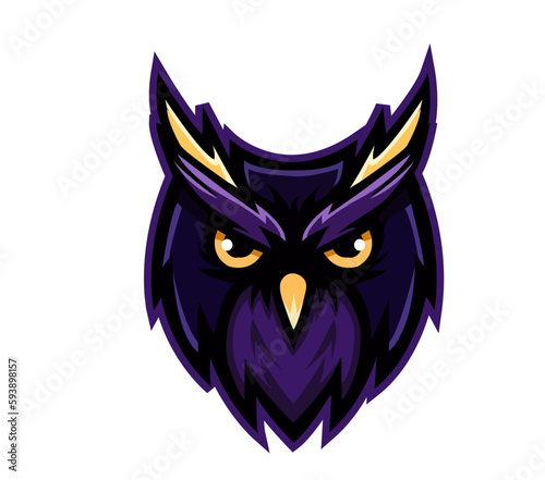 Owl Head Logo Vector Template Illustration Design. Mascot Owl  Logo design Owl  sport logo