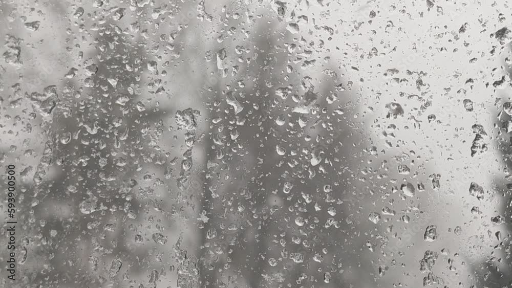Winter nature behind the wet misty window glass. 