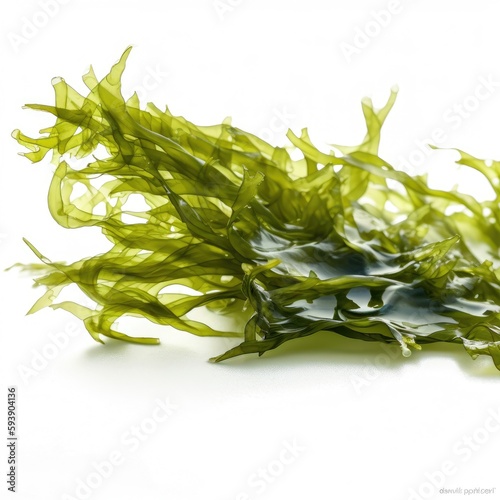 Raw organic fresh green algae rich in minerals and iodine on white background Generative AI Illustration © SVasco