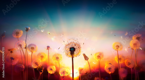 Dandelions At Sunset With Flying Seeds In Abstract Defocused Field  - Freedom And Allergy Concept