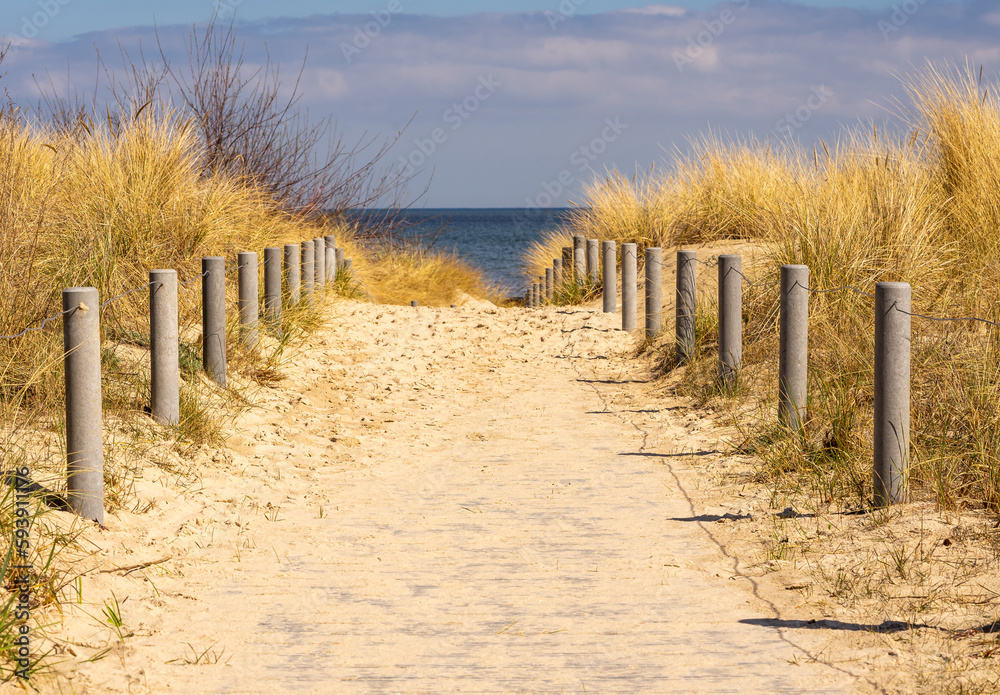 Obraz premium beach path on the beach baltic sea