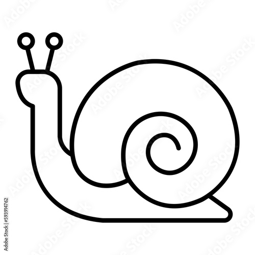 snail