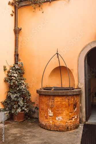 An old well with plant near the orange wall of a house on an old street in Italy © Shi 