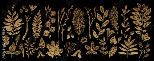 Set of golden autumn leaves beries and herbs. Ink drawn illustration. Vector isolated. Elegant decoration for cosmetics, wedding, perfume, health care products,