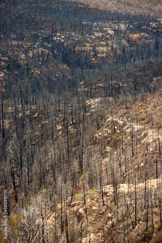 Forest Fire Overlook of Damage at Mesa Verde National Park