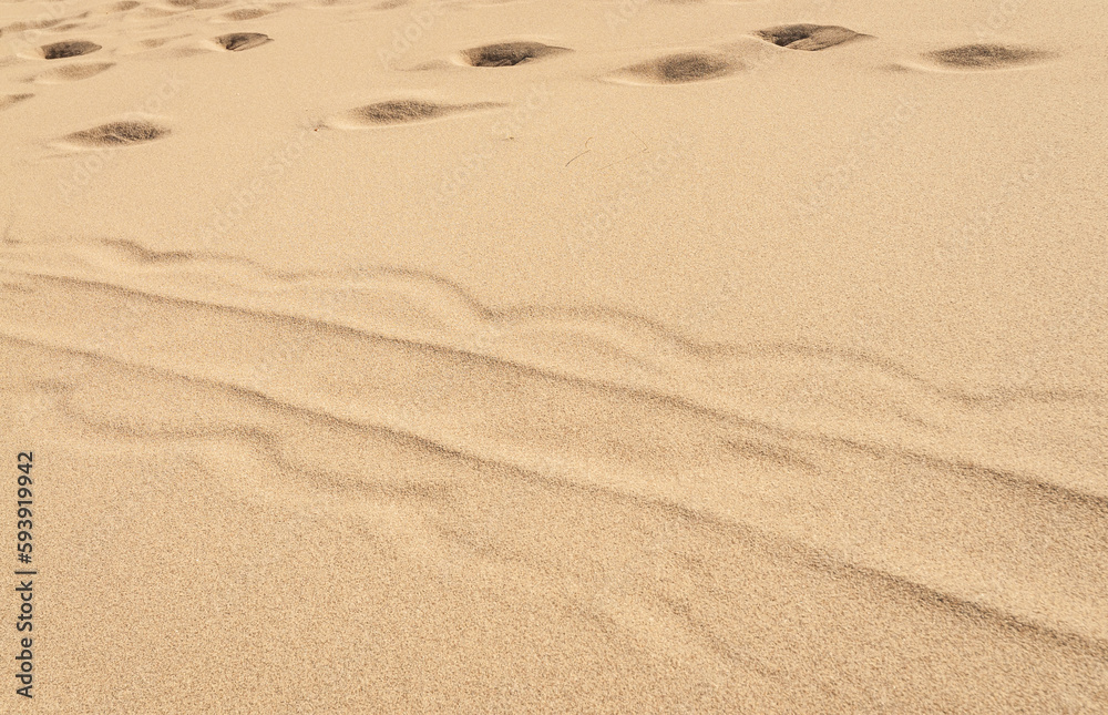 Great Sand Dunes National Park and Preserve Great Sand Dunes National Park and Preserve