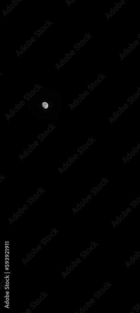 Moon Moon
