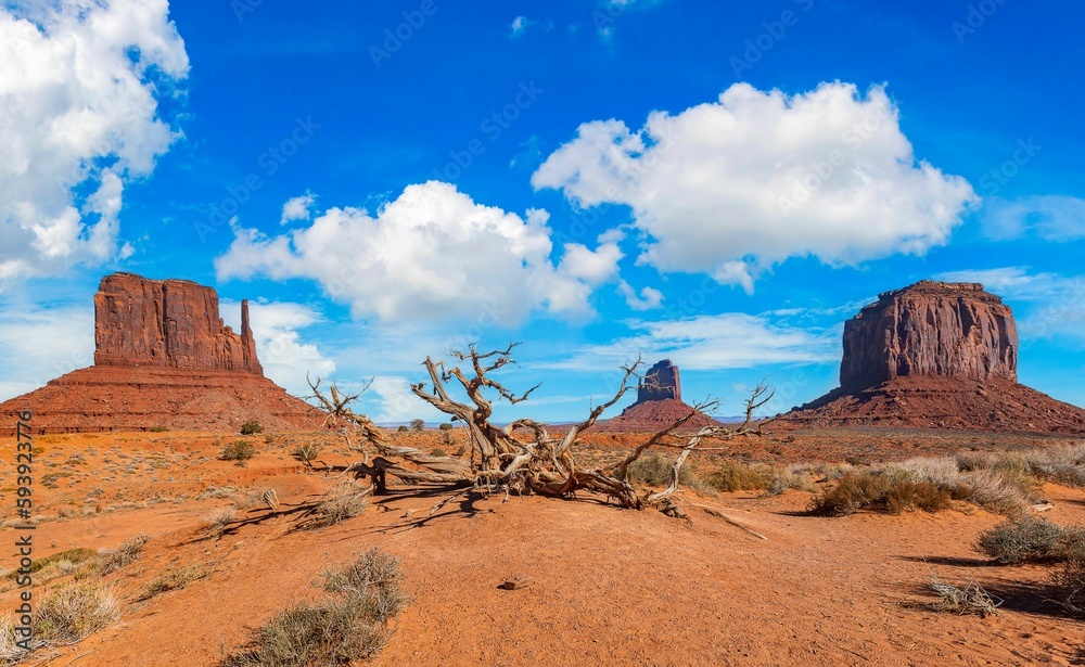 Tranquil desert scene with sparse shrubs and a barren landscape set against a brilliant blue sky, Tranquil desert scene with sparse shrubs and a barren landscape set against a brilliant blue sky,
