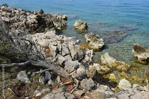 The wild coast of Croatia on the island of Krk.