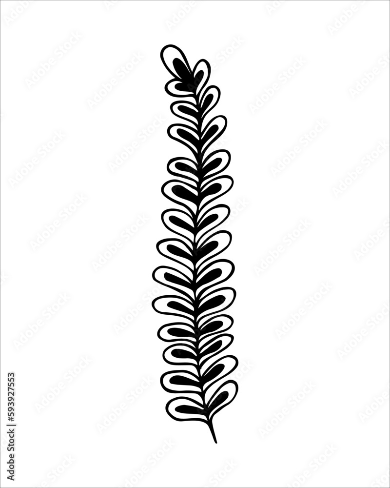 Hand drawn twig in doodling style. Botanical decorative element  in outline style.Black line on white isolated background.