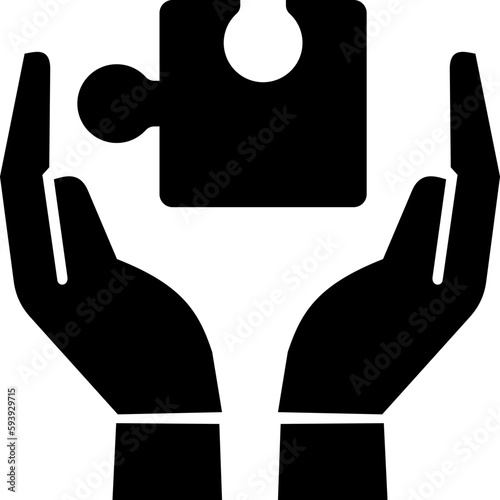 solution provider