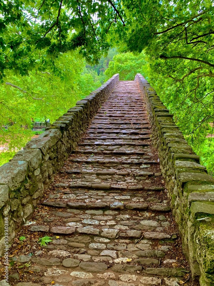 Traditional stone bridge in Greece. One of many in Zagori. View of steps leading up to the top of old pedestrian arch bridge, wet after spring rain. The canopy of trees makes it look narrow. Europe.